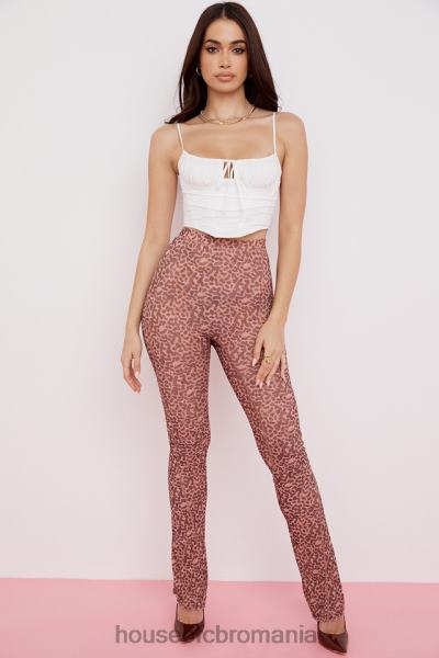 îmbrăcăminte House of CB pantaloni evazați din plasă cu imprimeu animal maite X4F68973