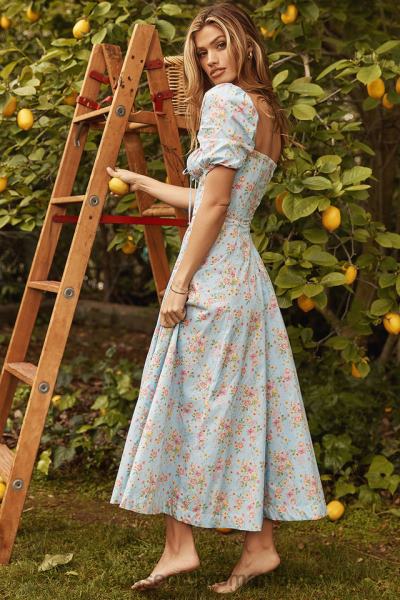 îmbrăcăminte House of CB rochie midi vintage cu mâneci bufante, albastru tallulah X4F68572