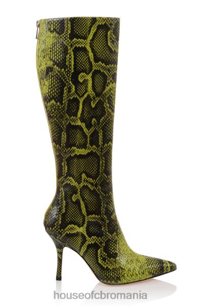 pantofi House of CB cizme până la genunchi cu imprimeu verde royale X4F681071